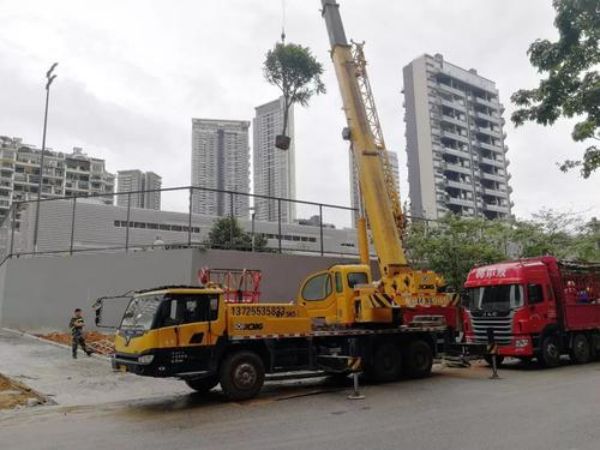 政带岭区吊车出租电话_怎样选择吊车出租类型